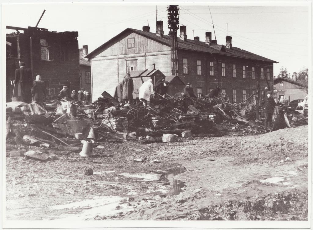 Tules hävinud kuuride jäänused Koplis, 1955.a.