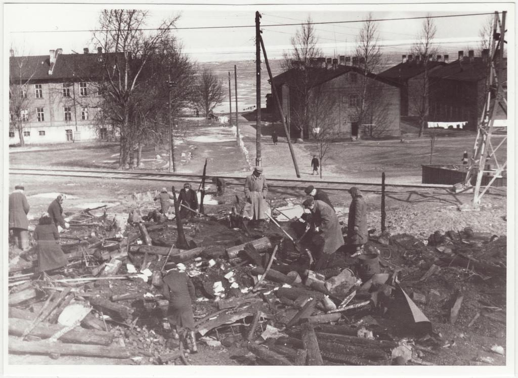 Tules hävinud kuuride jäänused Koplis, 1955.a.
