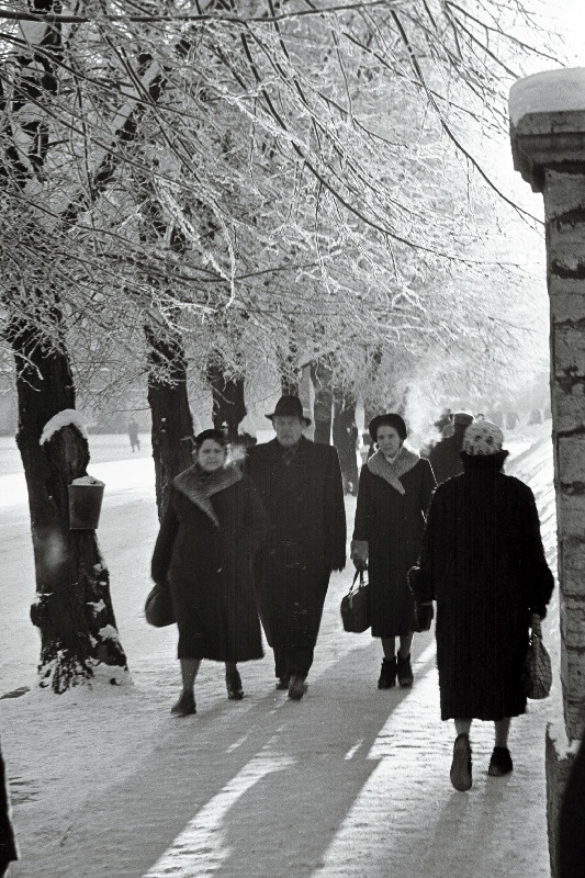 Talvine härmas Tallinn.