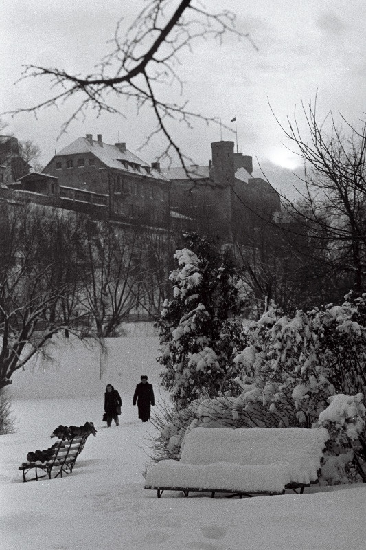 Talvine härmas Tallinn.
