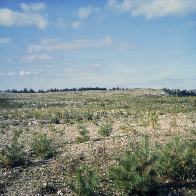 Karjäärid.