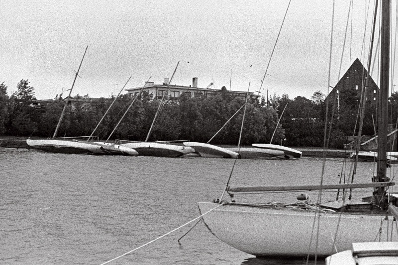 Tugevad tormi kahjustused Kadriorus ja Pirital, torm oli 5-6. augustil 1967 a.