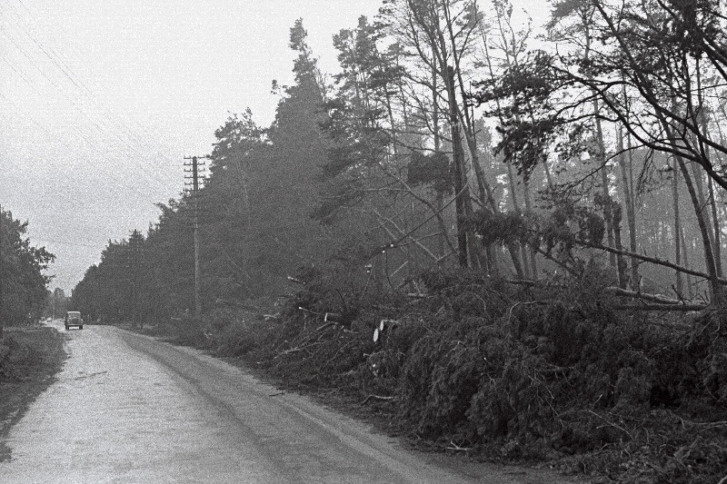 Tugevad tormi kahjustused Kadriorus ja Pirital, torm oli 5-6. augustil 1967 a.