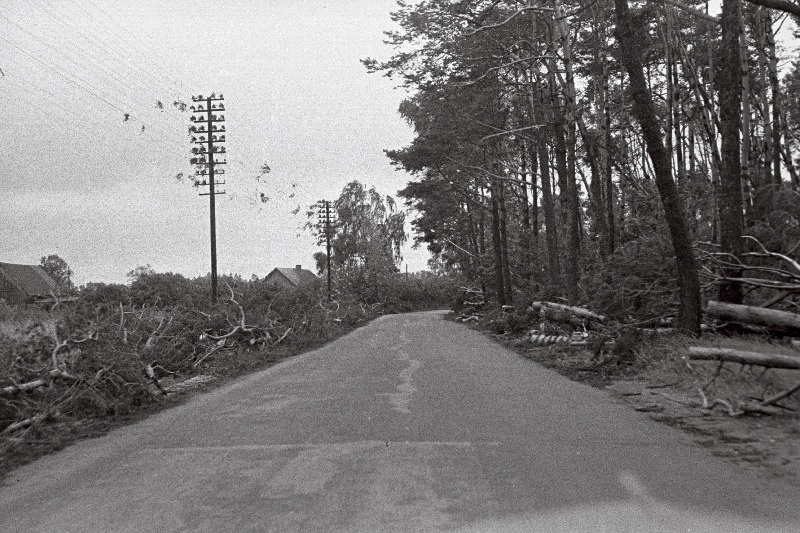 Tugevad tormi kahjustused Kadriorus ja Pirital, torm oli 5-6. augustil 1967 a.