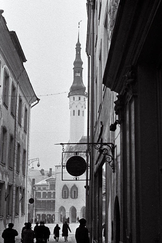 Vaateid Raekojale, Toompeale, Pikale jalale jne, siis kui müürid aurasid niiskust ja olid valged.