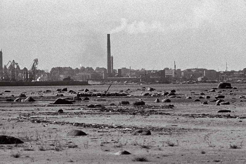 Tallinna panoraam (võetud Piritalt) ja valge reisijate laev saabub Tallinna.