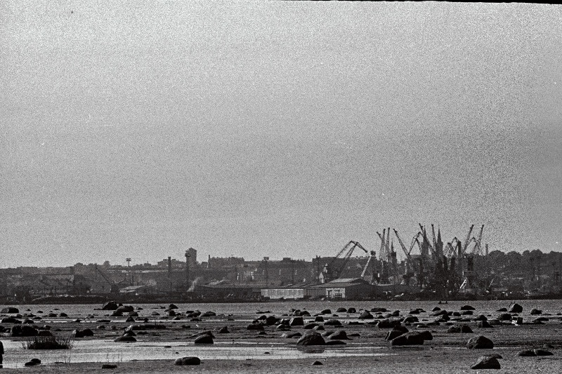 Tallinna panoraam (võetud Piritalt) ja valge reisijate laev saabub Tallinna.