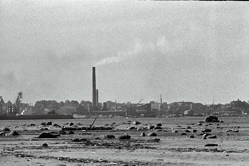Tallinna panoraam (võetud Piritalt) ja valge reisijate laev saabub Tallinna.
