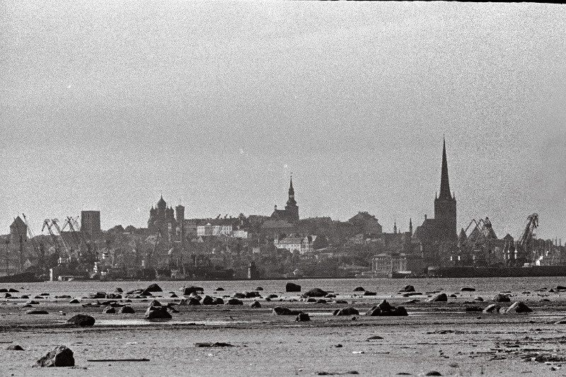Tallinna panoraam (võetud Piritalt) ja valge reisijate laev saabub Tallinna.