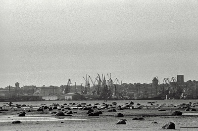 Tallinna panoraam (võetud Piritalt) ja valge reisijate laev saabub Tallinna.  duplicate photo