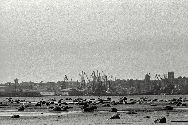 Tallinna panoraam (võetud Piritalt) ja valge reisijate laev saabub Tallinna.