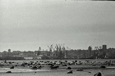 Tallinna panoraam (võetud Piritalt) ja valge reisijate laev saabub Tallinna.  duplicate photo