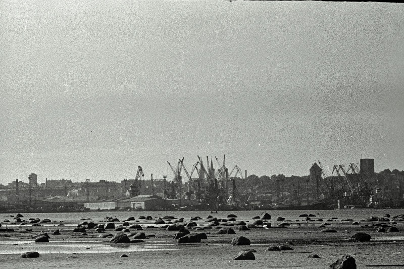 Tallinna panoraam (võetud Piritalt) ja valge reisijate laev saabub Tallinna.