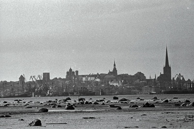 Tallinna panoraam (võetud Piritalt) ja valge reisijate laev saabub Tallinna.  duplicate photo