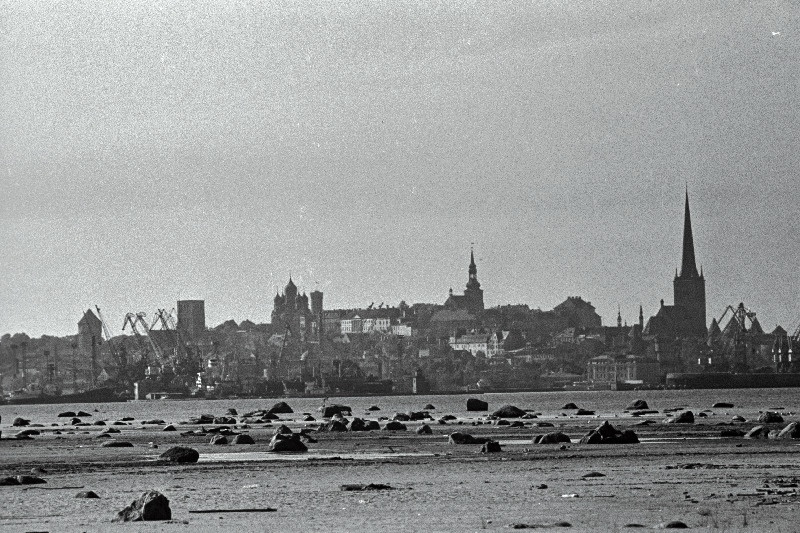 Tallinna panoraam (võetud Piritalt) ja valge reisijate laev saabub Tallinna.