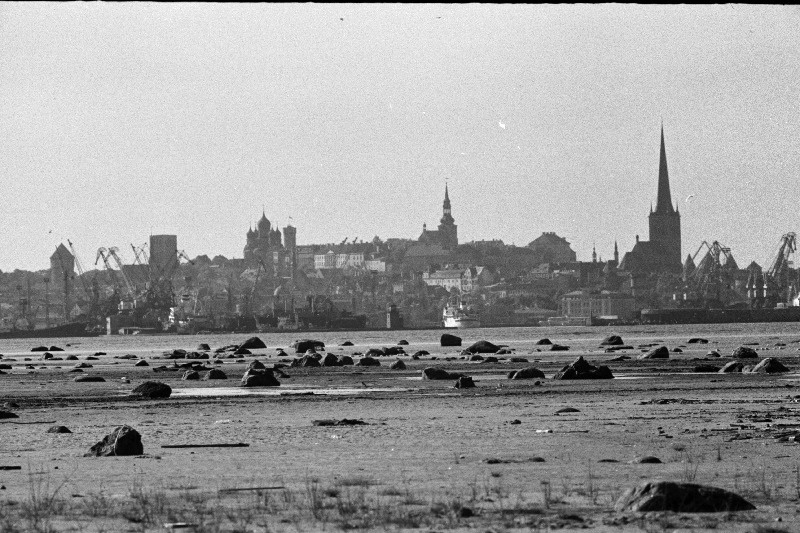 Tallinna panoraam (võetud Piritalt) ja valge reisijate laev saabub Tallinna.