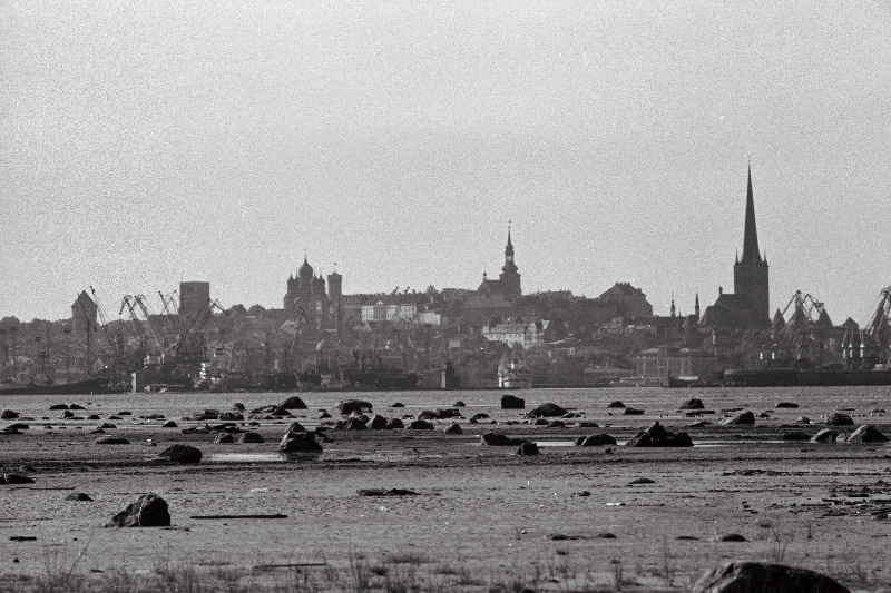 Tallinna panoraam (võetud Piritalt) ja valge reisijate laev saabub Tallinna.