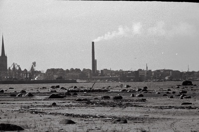 Tallinna panoraam (võetud Piritalt) ja valge reisijate laev saabub Tallinna.  duplicate photo