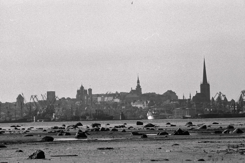 Tallinna panoraam (võetud Piritalt) ja valge reisijate laev saabub Tallinna.