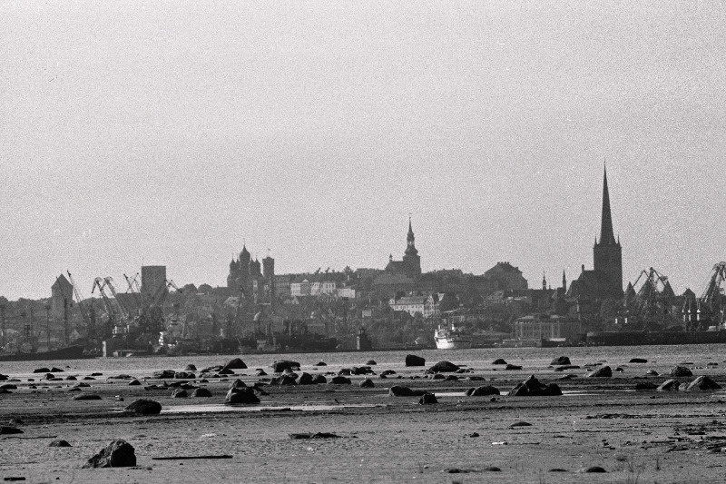 Tallinna panoraam (võetud Piritalt) ja valge reisijate laev saabub Tallinna.