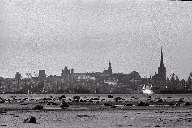 Tallinna panoraam (võetud Piritalt) ja valge reisijate laev saabub Tallinna.