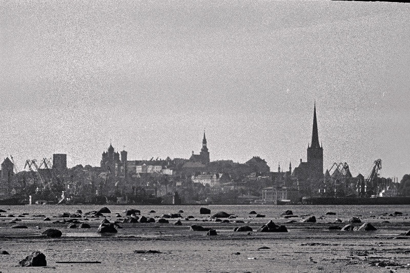 Tallinna panoraam (võetud Piritalt) ja valge reisijate laev saabub Tallinna.