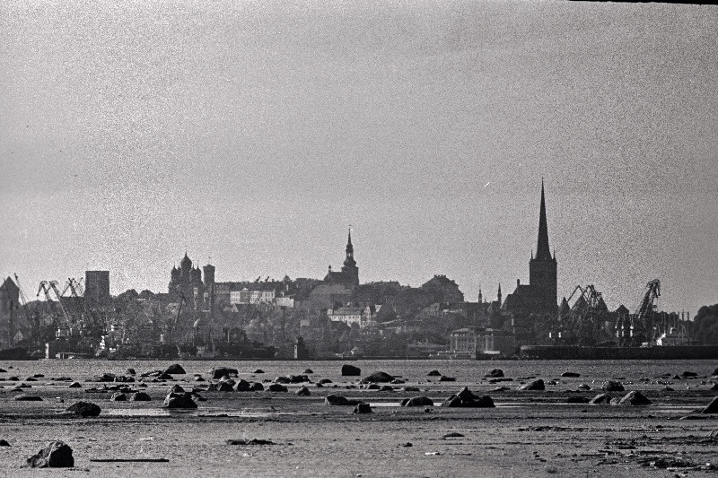 Tallinna panoraam (võetud Piritalt) ja valge reisijate laev saabub Tallinna.