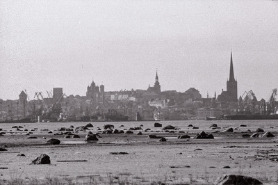 Tallinna panoraam (võetud Piritalt) ja valge reisijate laev saabub Tallinna.  duplicate photo