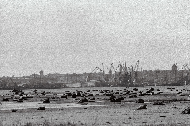 Tallinna panoraam (võetud Piritalt) ja valge reisijate laev saabub Tallinna.