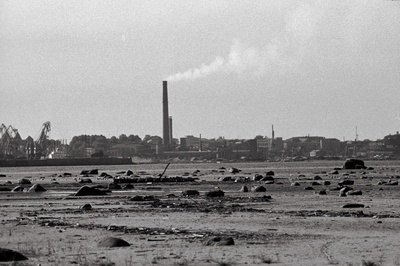 Tallinna panoraam (võetud Piritalt) ja valge reisijate laev saabub Tallinna.  duplicate photo