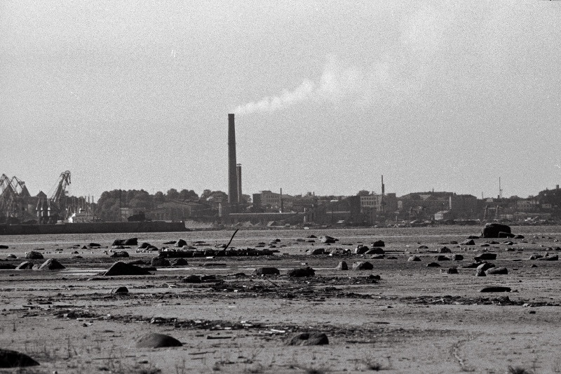 Tallinna panoraam (võetud Piritalt) ja valge reisijate laev saabub Tallinna.