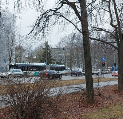 Pelgulinna Birthhouse rephoto