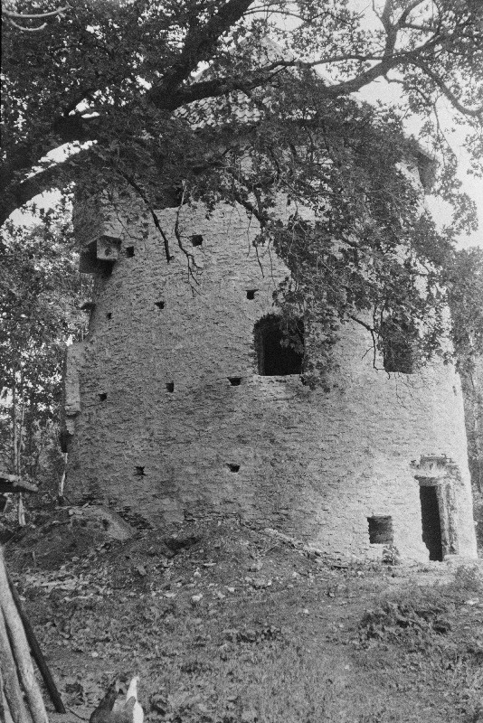 Kiiu tornelamu. Tornelamu enne maapinna planeerimist, vaade lääneküljele