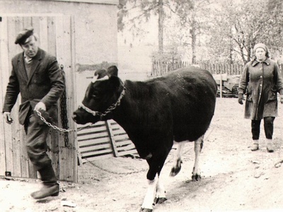 Bogdanovi pere kodune majapidamine  duplicate photo