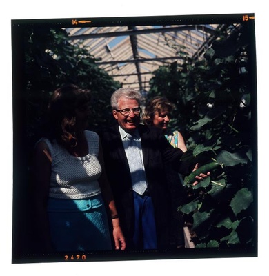 foto  similar photo