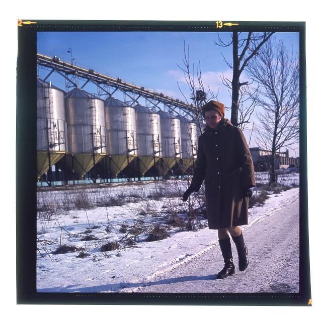 Sovhoos Viljandi. Leida Peips.