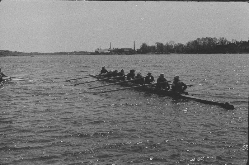 Sõudmine. Treening Pärnu jõel.