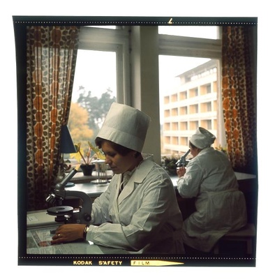 foto  duplicate photo