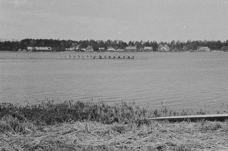 Riia, Vilniuse ja Tartu sõudjad Jurmalas.