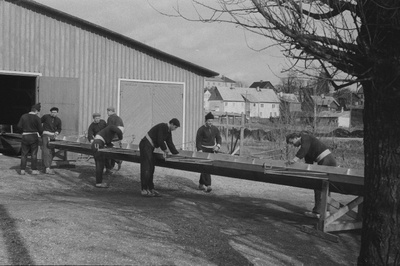 Sõudmine Emajõel.  duplicate photo