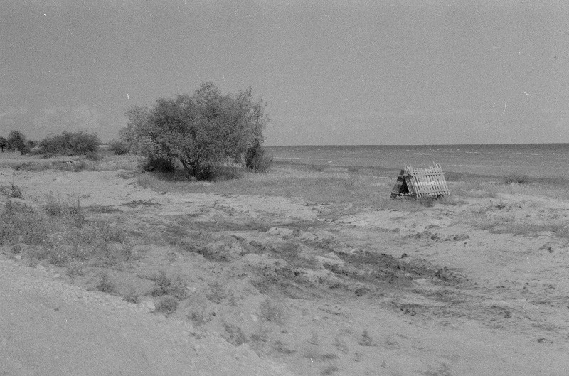 Sõudmine. Sõit Kavgolovosse võistlustele.