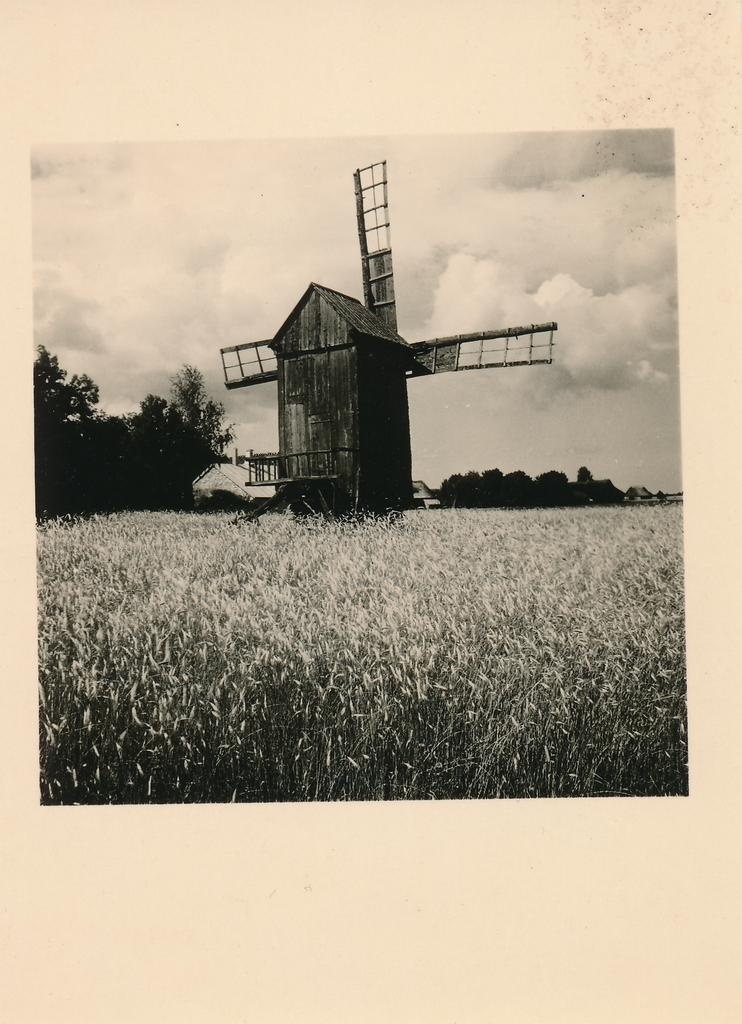Saaremaa