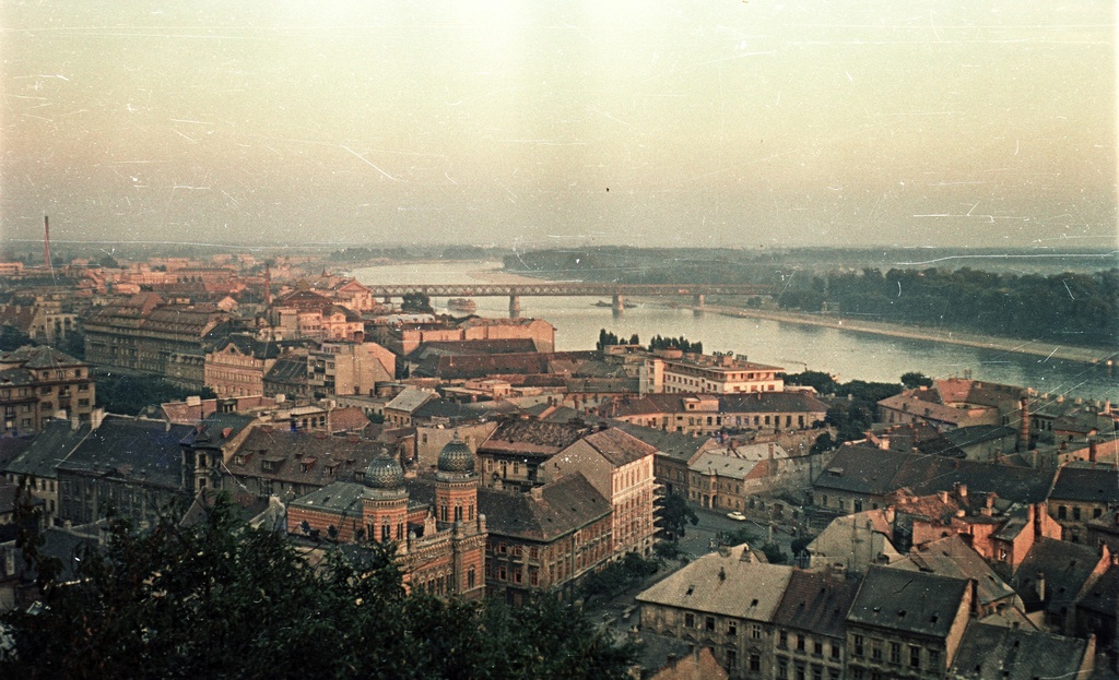 Látkép a várból, előtérben a Hal tér és a zsinagóga. Fortepan 51261 - lang