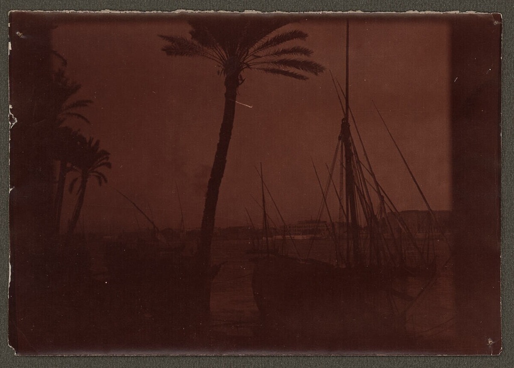 Caption: verso: M. "1732/<Solro?>/Cairo: Am Nilufer in/Bulak.“, l.u.” 20 XI 1908/4h "(pencil, vertical)