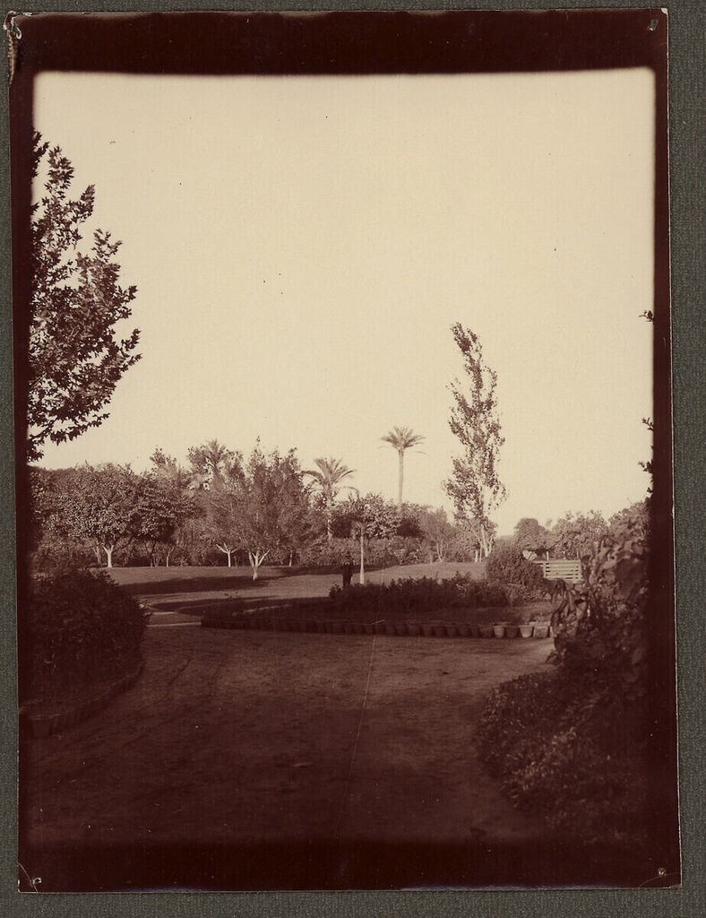 Cairo, view into the public garden in Bulak - Caption: verso: M. “1730 W/I/Cairo: View into the public/garden in Bulak,” l. “20 XI 1908/3h55” (pencil)