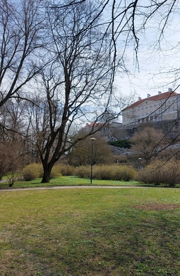 Tallinn. The monument of Josif Stalin rephoto