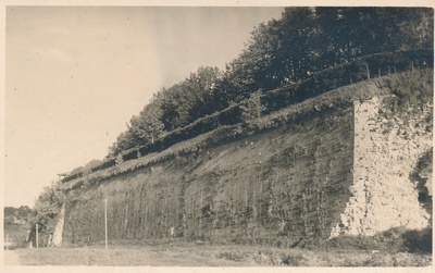 Narva  duplicate photo