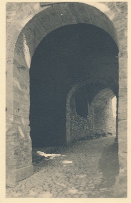 Narva  duplicate photo