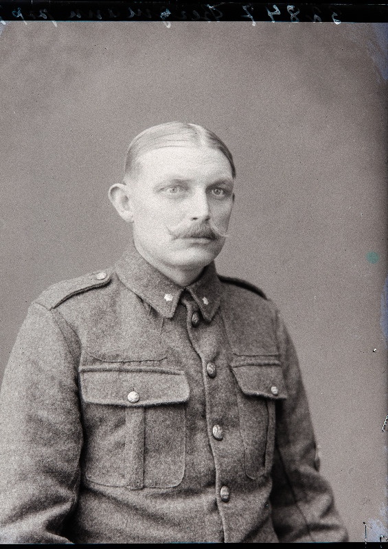 Bergmann.