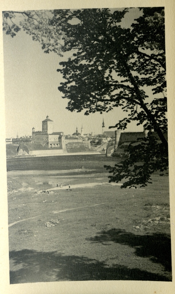 Narva